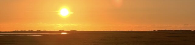 Coaching für persönliche Lebensfragen