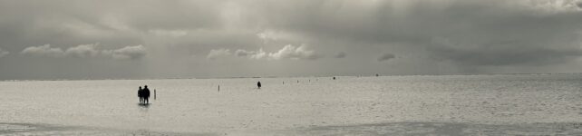 Paartherapie Paartherapie