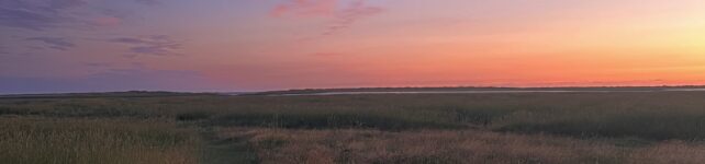 Einzelpsychotherapie Einzelpsychotherapie